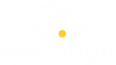 Agile Insight